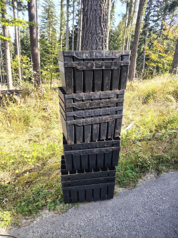Puste kasety po sadzonkach drzew wykorzystanych podczas jesiennej akcji sadzenia 1750 drzew przez Tree Rebel w Nadleśnictwie Śnieżka, październik 2026